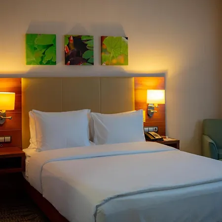 Hilton Garden Inn Astana-3